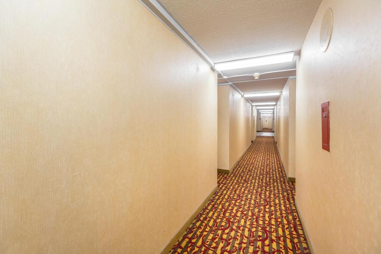 Appartamento Toronto Furnished Living-Gerard Esterno foto