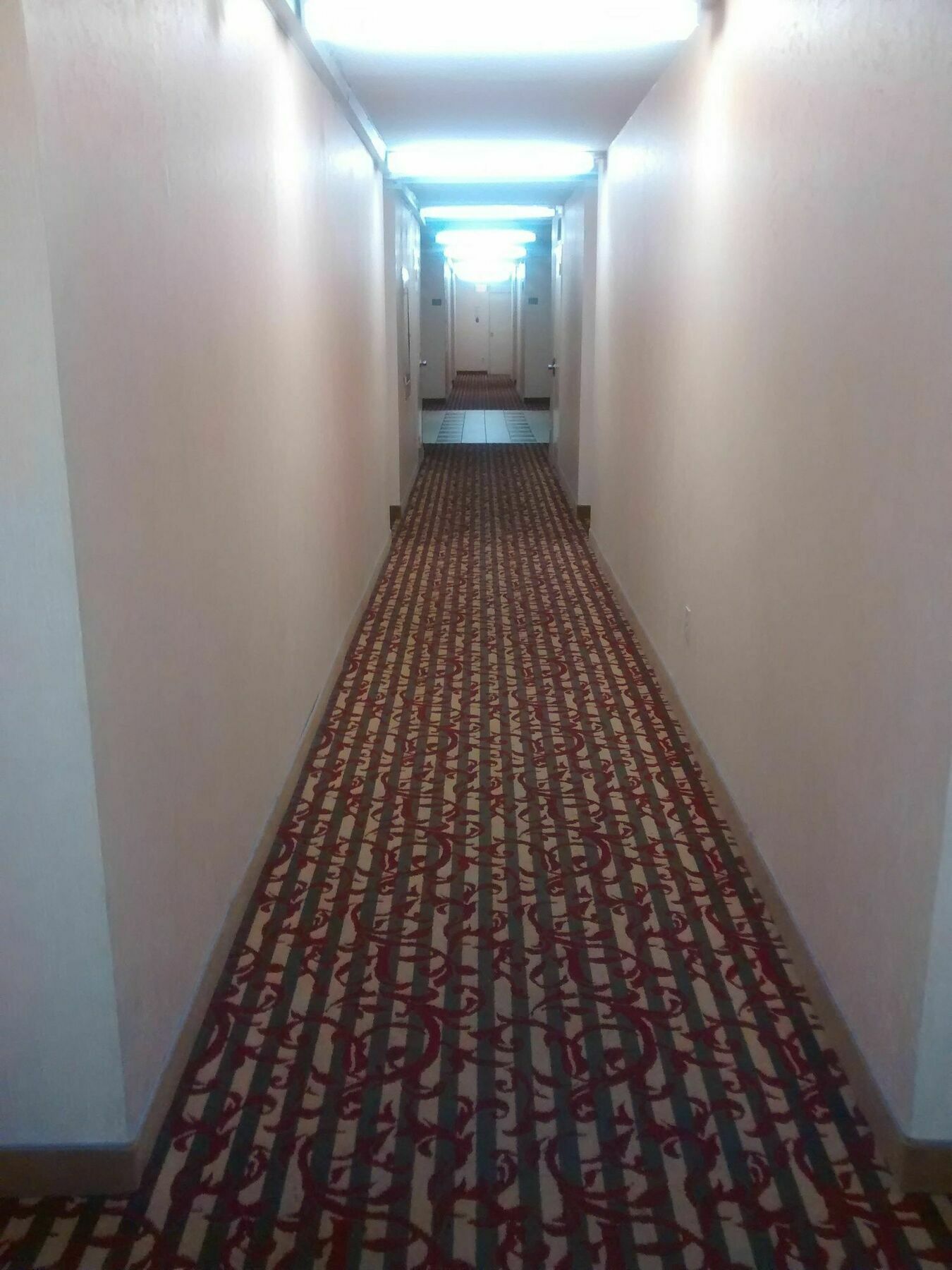 Appartamento Toronto Furnished Living-Gerard Esterno foto